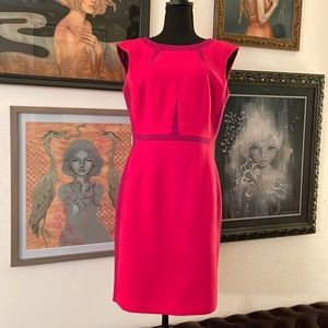 Antonio Melani hot pink and fuchsia color blocked dress.